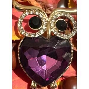 Monet Whimsical Rhinestone Vintage Enchanting Purple Glass Owl Estate Brooch